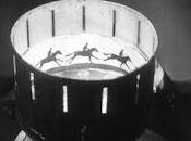 Crea propio Zootropo