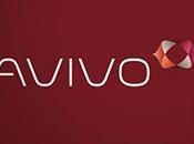 Identidad Avivo