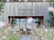 producto mes: aceite divino Caudalie