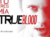 Gana colección completa temporada TRUE BLOOD
