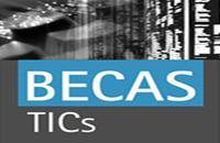 Becas TICs Argentina 2012