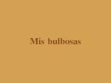 Video bulbosas