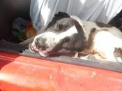 Caso extremo maltrato. (jaen)