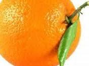 naranja: gran fuente vitamina