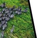 Nuevo MacBook pantalla Retina Display