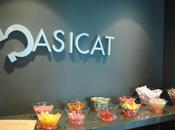 Basicat showroom: open 2012