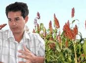 solo vive hombre pasto natural reses