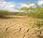 Mundial lucha contra desertificación sequía