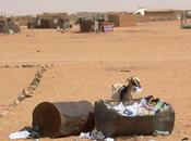 Gobierno saharaui instan España mantener solidaridad Sáhara Occidental pese crisis