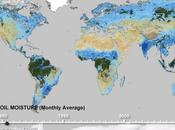 dibuja primer mapamundi evolución humedad suelo