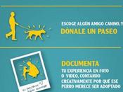 Dona paseo perruno