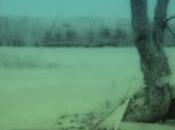 visita nuevamente Pablo Acosta, Días, para regala...