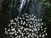 Origami artístico delicias jardín