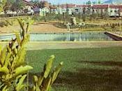 piscina Almadén abierto puertas