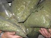 Cuba decomisado 1,44 toneladas drogas primeros meses 2012