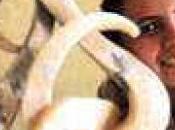 Bienal Cerámica toca puertas Habana