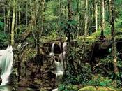 Amazonas, ejemplo preservación