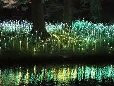 Jardín Flores LED, Bruce Munro