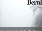'Entre Brumas' Bernelf