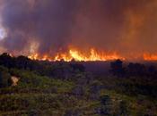 Arde Valencia