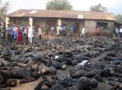 foto controversial tema universal