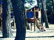 Tarde parque, tarde Flickr.