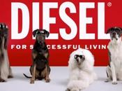 Diesel cambia modelos perros última campaña