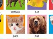 Animalitos