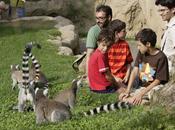 ¡Gana plan niños plena naturaleza! Disfruta Bioparc Valencia