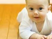 bebés meses