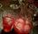 Coctel vodka granizado limón