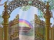 Encarnar sueño para rumbo nuestras sincronías