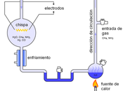 Evolución prebiótica origen vida evolución molecular