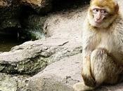 Perfección, problemas perezas