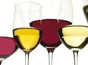 ¿Que Modelo Copa Usar para Cada Tipo Vino?