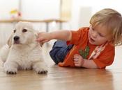 mascota podria beneficiar niños Autismo