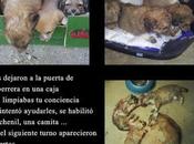 lavaste conciencia.... pero sangre