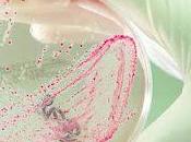 Infección Escherichia coli coli)