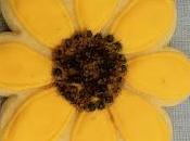 Girasol cookie