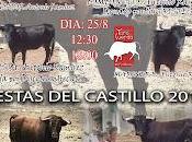 Todo preparado para toro cuerda aurora