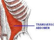 problema ejercitar transverso abdominal correctamente