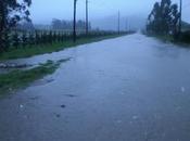 Temporal balcarce