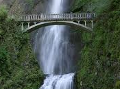 próposito país lector...