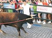 Carcabuey vuelve vibrar toro cuerda