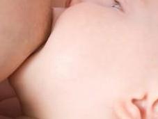 leche materna promueve crecimiento flora intestinal