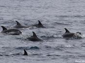 Salida barco Cantábrico