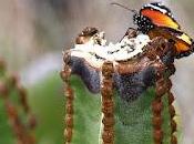 ¡los poetas están muertos!