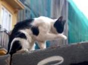 Luna llena… ternura