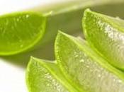 Contenido Yodo Aloe Vera