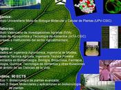 Máster Biotecnología Molecular Celular Plantas